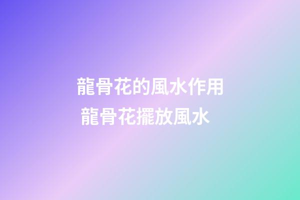 龍骨花的風水作用 龍骨花擺放風水